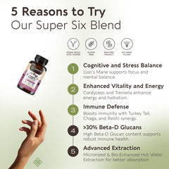 Longevity Botanicals Power 15 ingredient blend chart showing 15 mushroom varieties.
