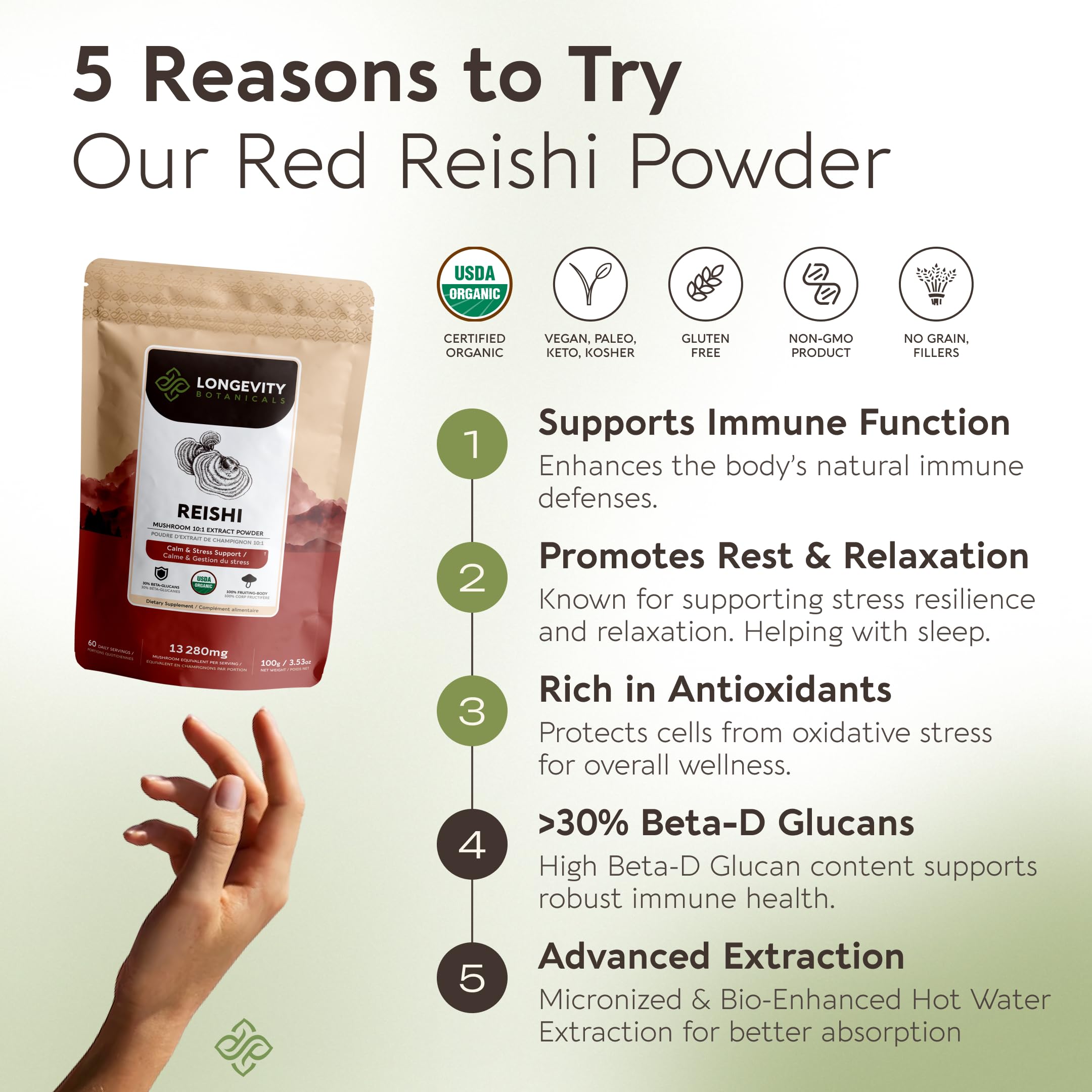 Longevity Botanicals Reishi powder in mug with warm tea for sleep.