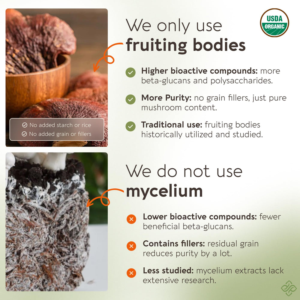 Longevity Botanicals Reishi powder packaging close-up showing fruiting-body purity.