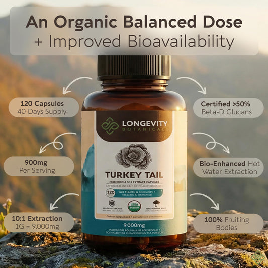 Longevity Botanicals turkey tail capsules close-up, highlighting capsule texture and clean-label formulation.