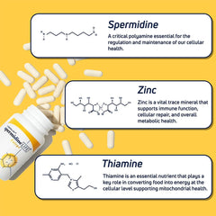 Longevity Labs+ spermidineLIFE Extra+ zinc tablets emphasize mineral support.