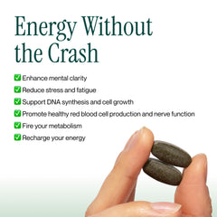 Longevity Rx MitoMultiply capsules closeup highlighting smooth daily intake.