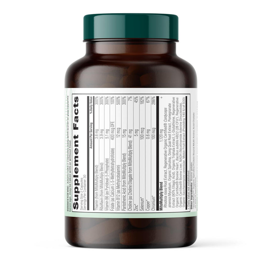 Longevity Rx MitoMultiply energy diagram illustrating mitochondrial pathways concept.