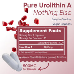 Close-up label emphasizing purity and potency of Urolithin A.