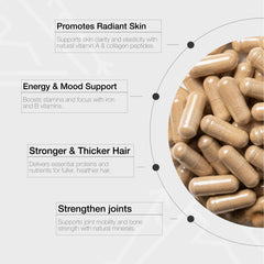 Lonvera capsules in hand for daily use on paleo or carnivore diets
