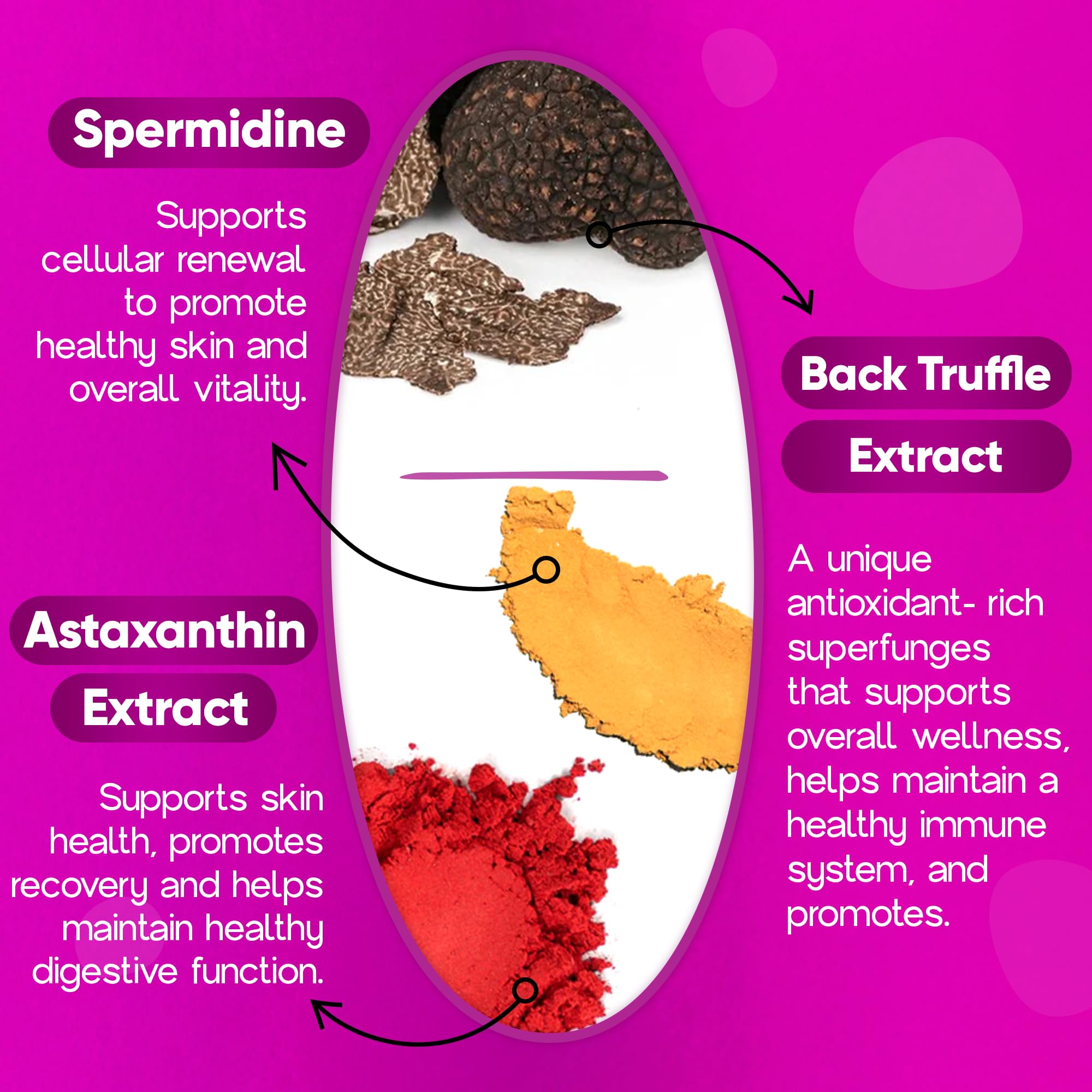 Losoki Ergo+ anti-aging ingredients concept image.