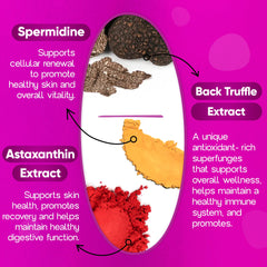 Losoki Ergo+ anti-aging ingredients concept image.