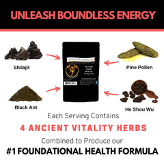 Lost Empire Herbs dosage scoop helps measure daily Phoenix Rejuvenation portions.