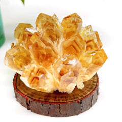 Loverain orange quartz cluster enhances home decor with a striking visual focal point.