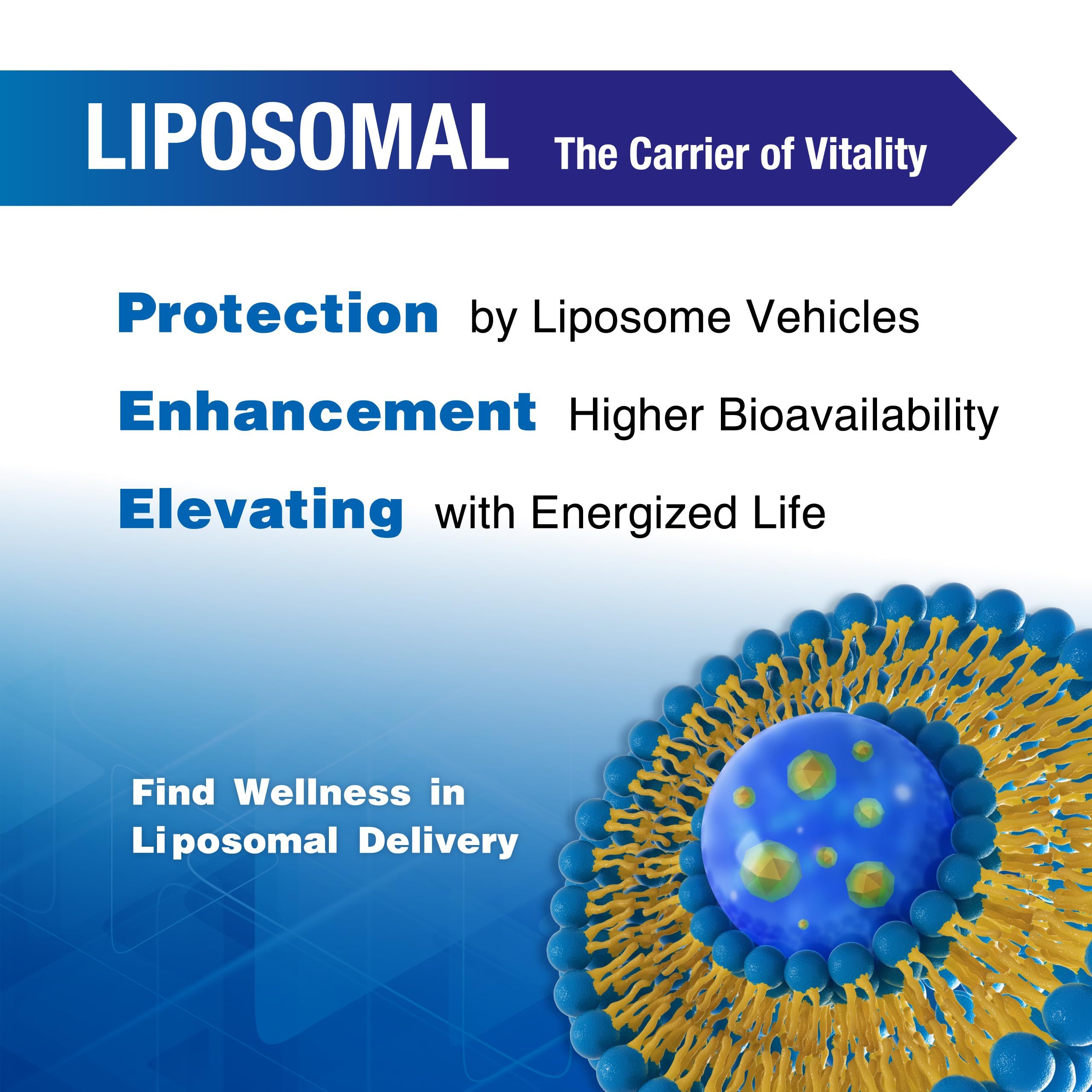 LOVITA Liposomal NR bottle label close-up with ingredients and vegan promise.