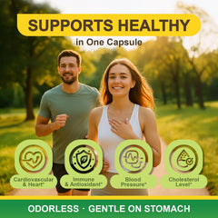 LOVITA label shows 1.25% allicin strength for consistent antioxidant support.