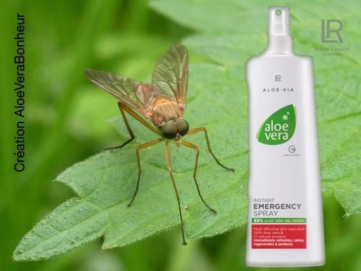 LR Health & Beauty Aloe-Via cooling hydration after workout or sun exposure