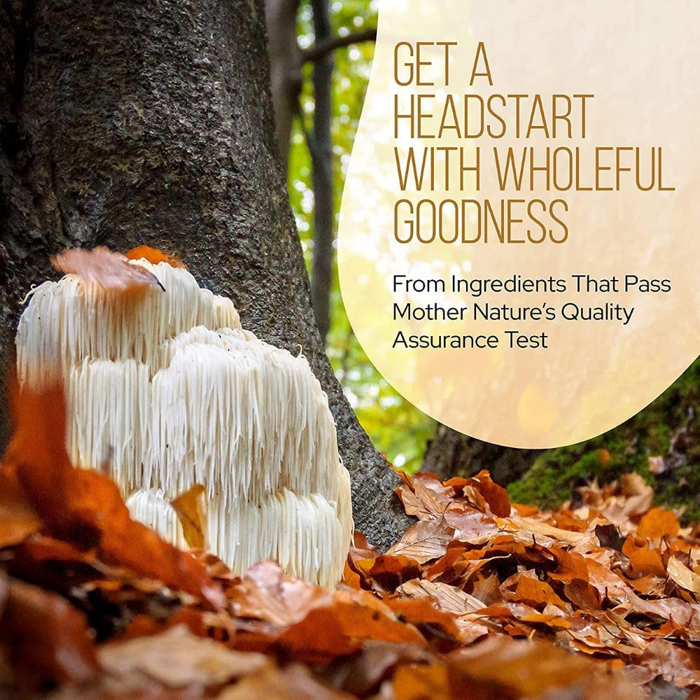 LRLA Superfoods mushroom powder stirred into a beverage for easy use