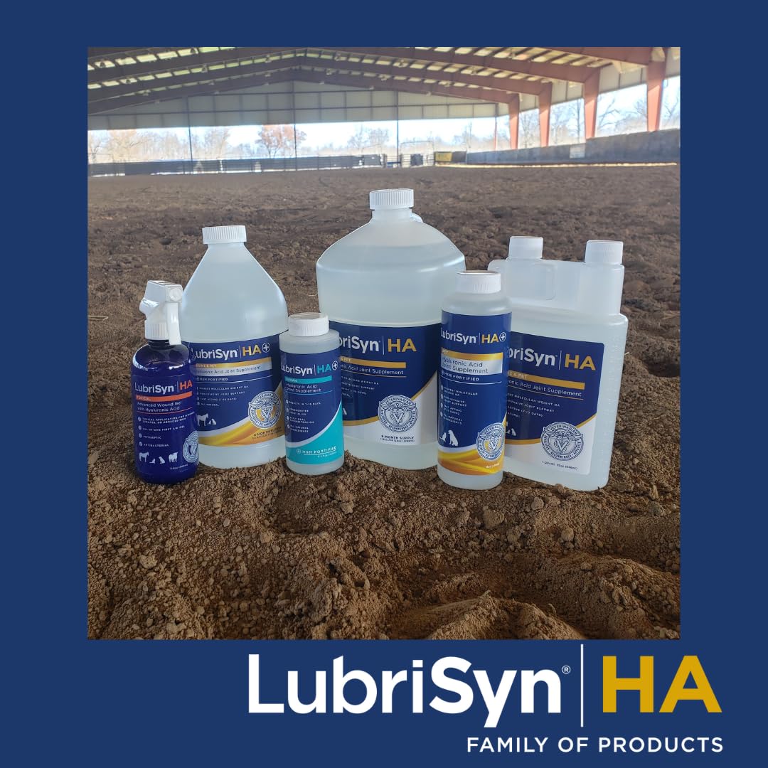 LubriSyn packaging detail with clear product information.