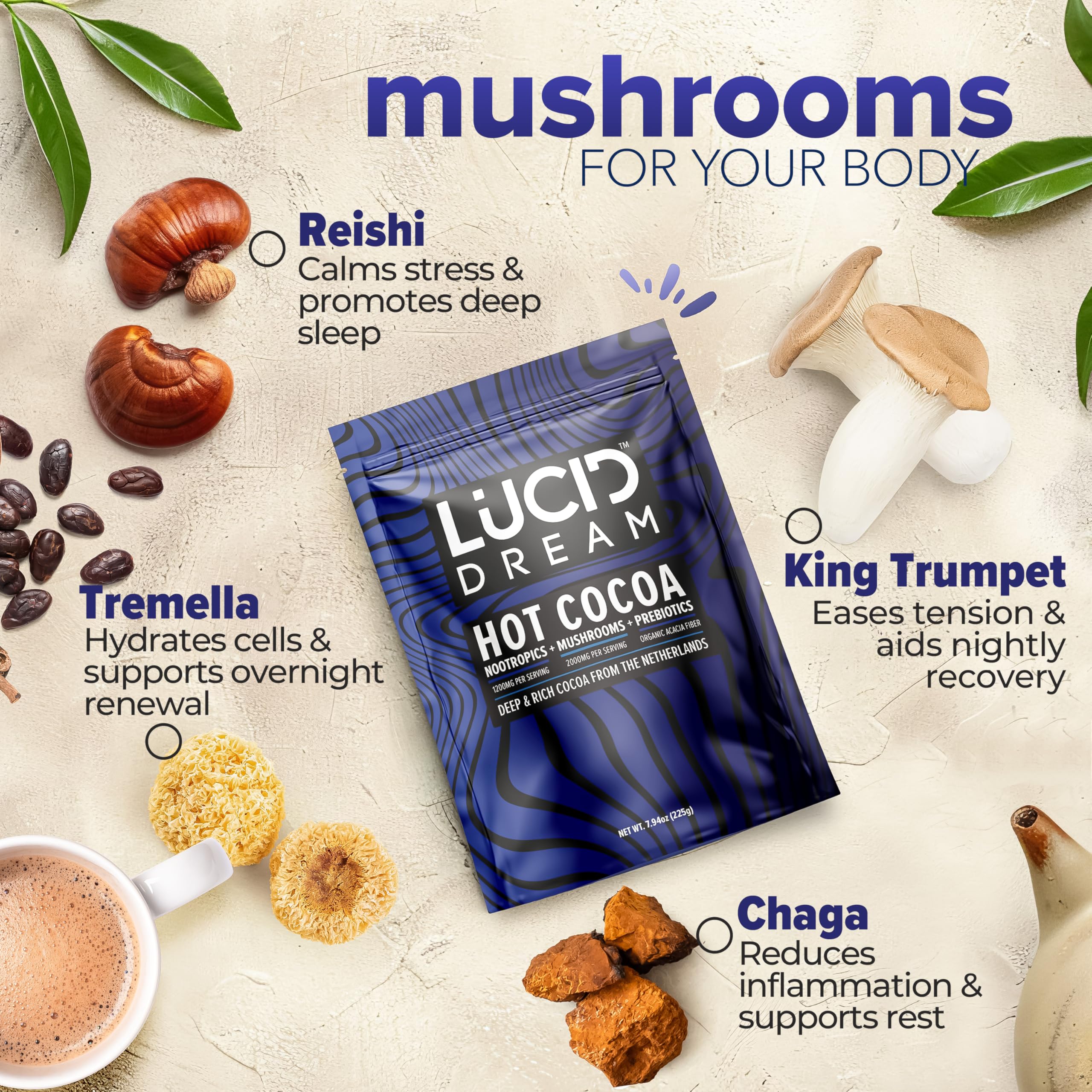 Lucid Dream Mushroom Hot Cocoa cup steaming, inviting a soothing evening ritual