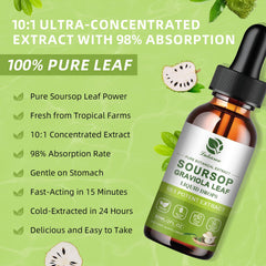 Lukaree Pure Soursop Leaf Extract Drops leaf collection on organic farms.