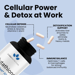 Luma Nutrition liver health concept suggesting support and wellbeing