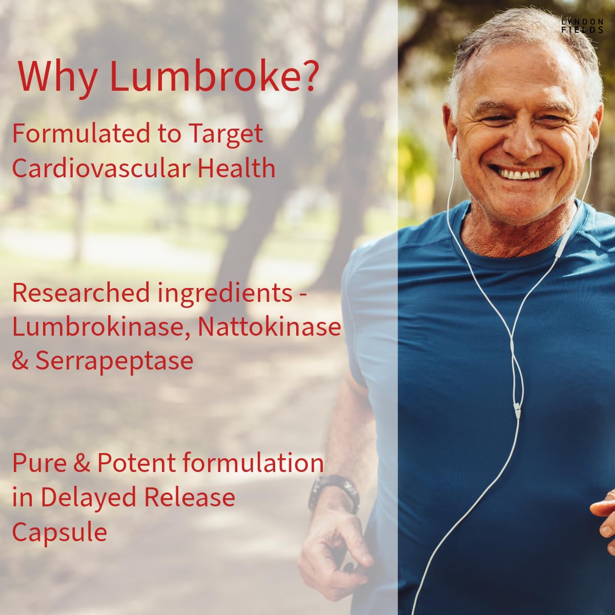 iEnzymes Lumbroke Advanced ingredients: Lumbrokinase, Nattokinase, Serrapeptase for fibrinolytic support