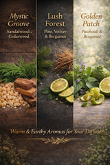 LuvAir Woody collection 30ml bottles close-up for warm, earthy ambience.