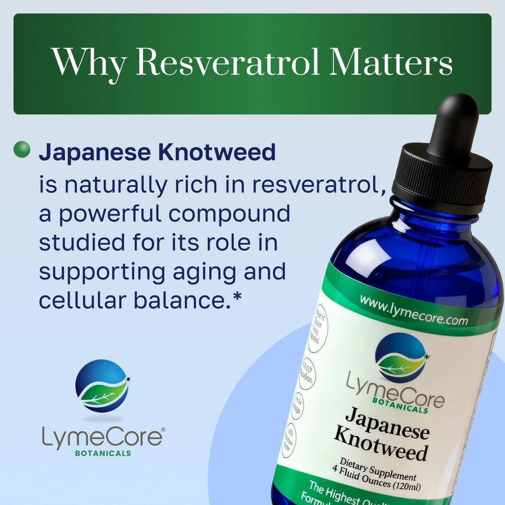 LymeCore Botanicals immune-support emphasis in Japanese Knotweed formula