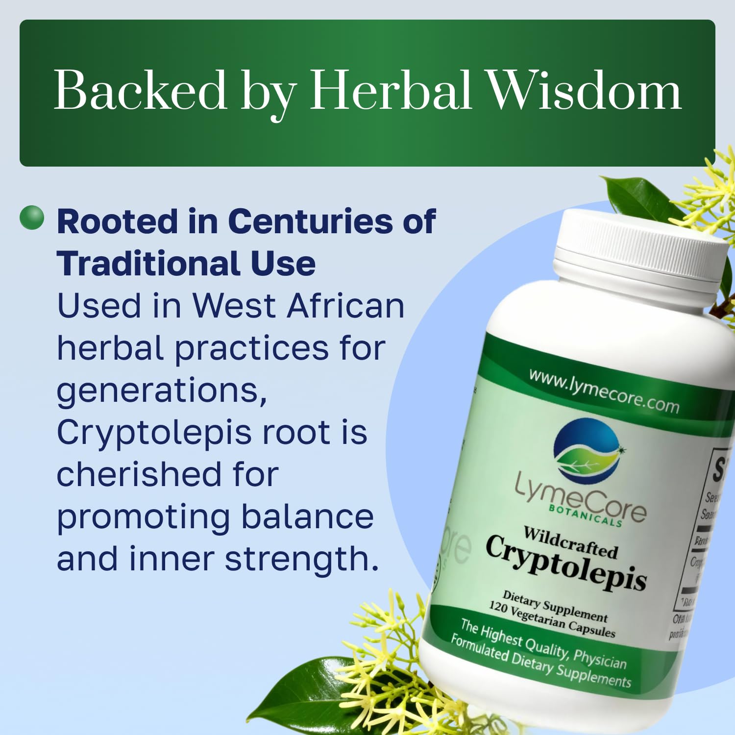Close-up of LymeCore Cryptolepis Root Extract capsules highlighting vegan formula.