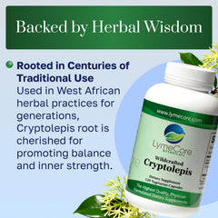 Close-up of LymeCore Cryptolepis Root Extract capsules highlighting vegan formula.