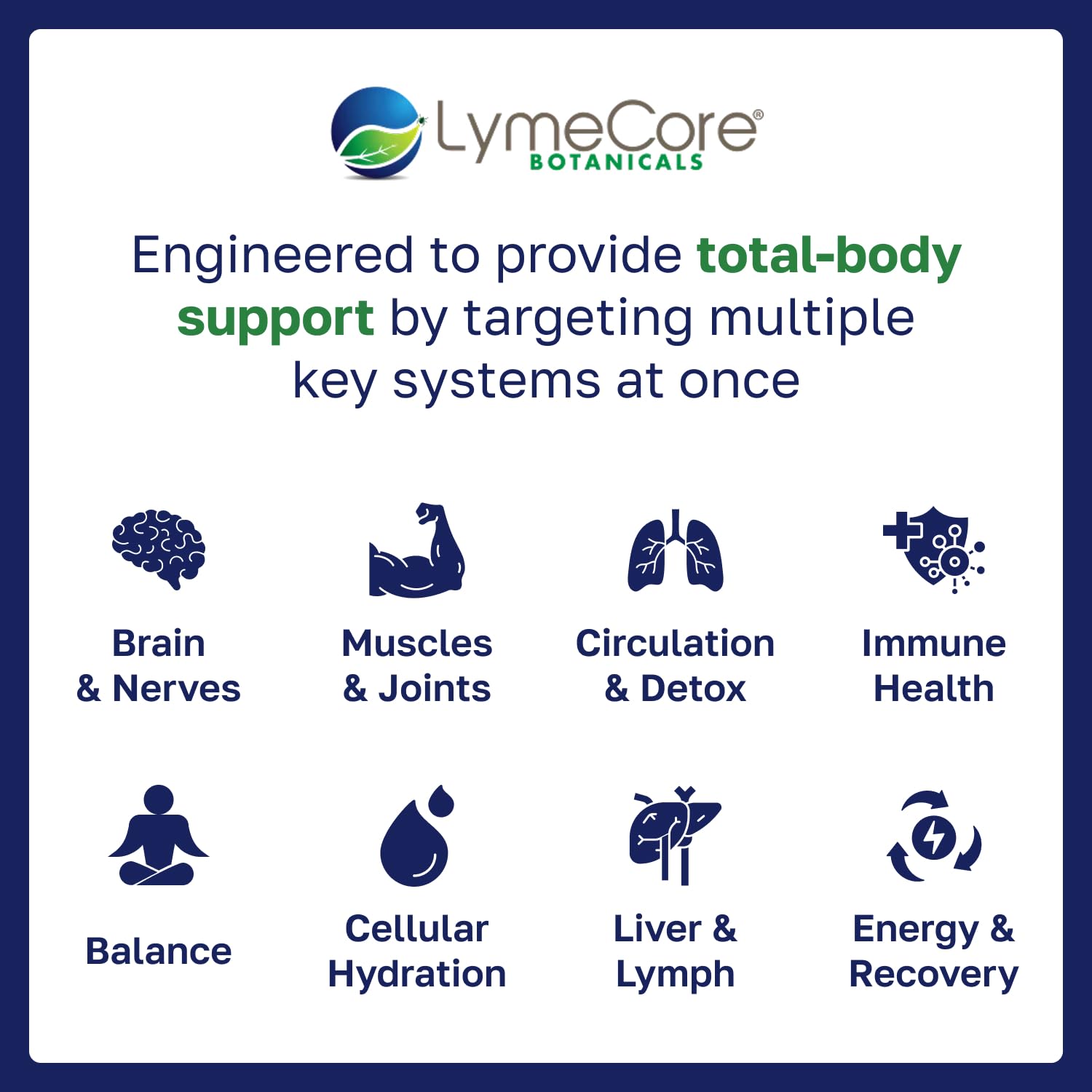 LymeCore Foundation Formula knotweed focus illustrates key ingredients for immune resilience.