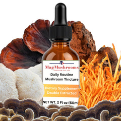 Mag Mushrooms Daily Routine Tincture bottle with clear label for potency