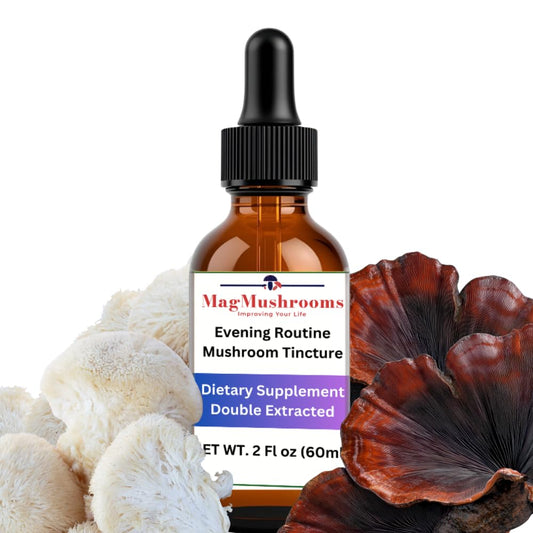 Mag Mushrooms Evening Routine tincture bottle, promoting calm focus with Reishi and Lion’s Mane.