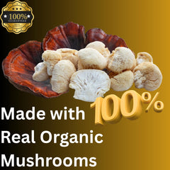 Mag Mushrooms Evening Routine packaging is recyclable and supports naturally grown mushrooms.