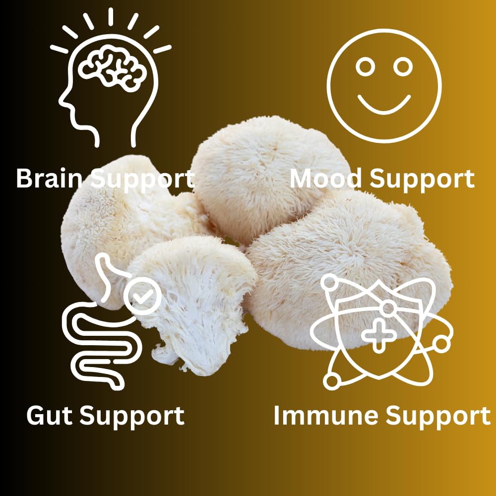 Mag Mushrooms Lion's Mane bottle label showing ingredients and purity