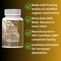 Mag Mushrooms Lion’s Mane bottle label emphasizes organic fruiting bodies for quality.
