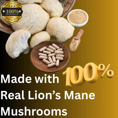 Mag Mushrooms Lion’s Mane capsules in a morning routine scene.