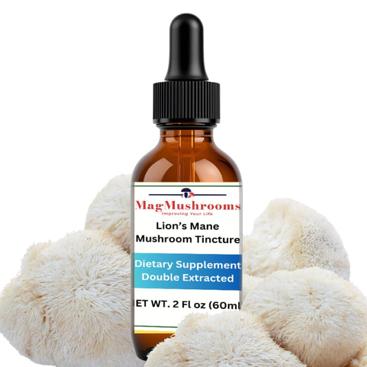 Mag Mushrooms Lion's Mane tincture bottle on wood for daily routine