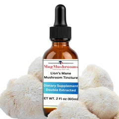 Mag Mushrooms Lion's Mane tincture bottle on wood for daily routine