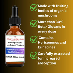 Dropper with Mag Mushrooms Lion’s Mane tincture signaling double extraction benefits