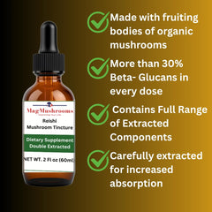 Mag Mushrooms Reishi fruiting bodies close-up used in tincture