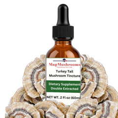 Mag Mushrooms Turkey Tail tincture bottle highlighting potency for daily support