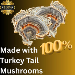 Mag Mushrooms Turkey Tail tincture dropper ready for accurate dosing