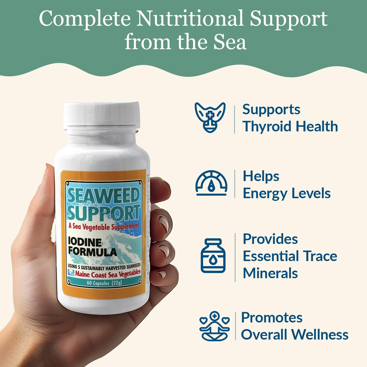 Sustainable sourcing and packaging of Maine Coast Sea Vegetables products.