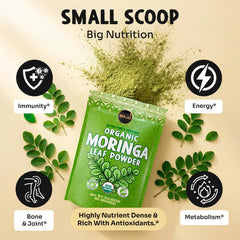 MAJU moringa powder added to smoothie for vibrant green color.