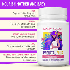 Mama's Select Prenatal ingredients highlight methylated folate and B vitamins.