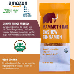 Mammoth Bar cashew cinnamon closeup emphasizes prebiotic-friendly ingredients