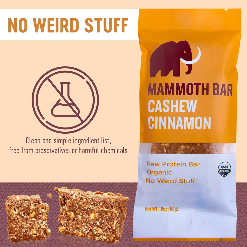 Mammoth Bar cashew cinnamon textured bite reveals chewy goodness