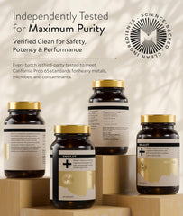 Manna Vitality Shilajit+ capsules in hand for quick vitality support