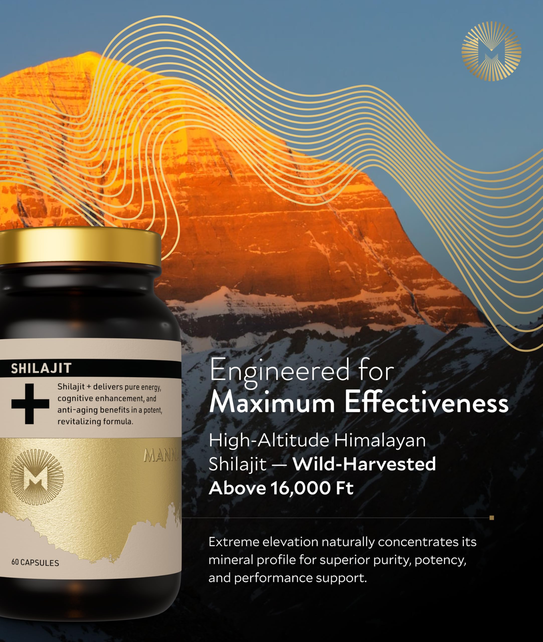 Manna Vitality Shilajit+ capsules pack ready for daily endurance
