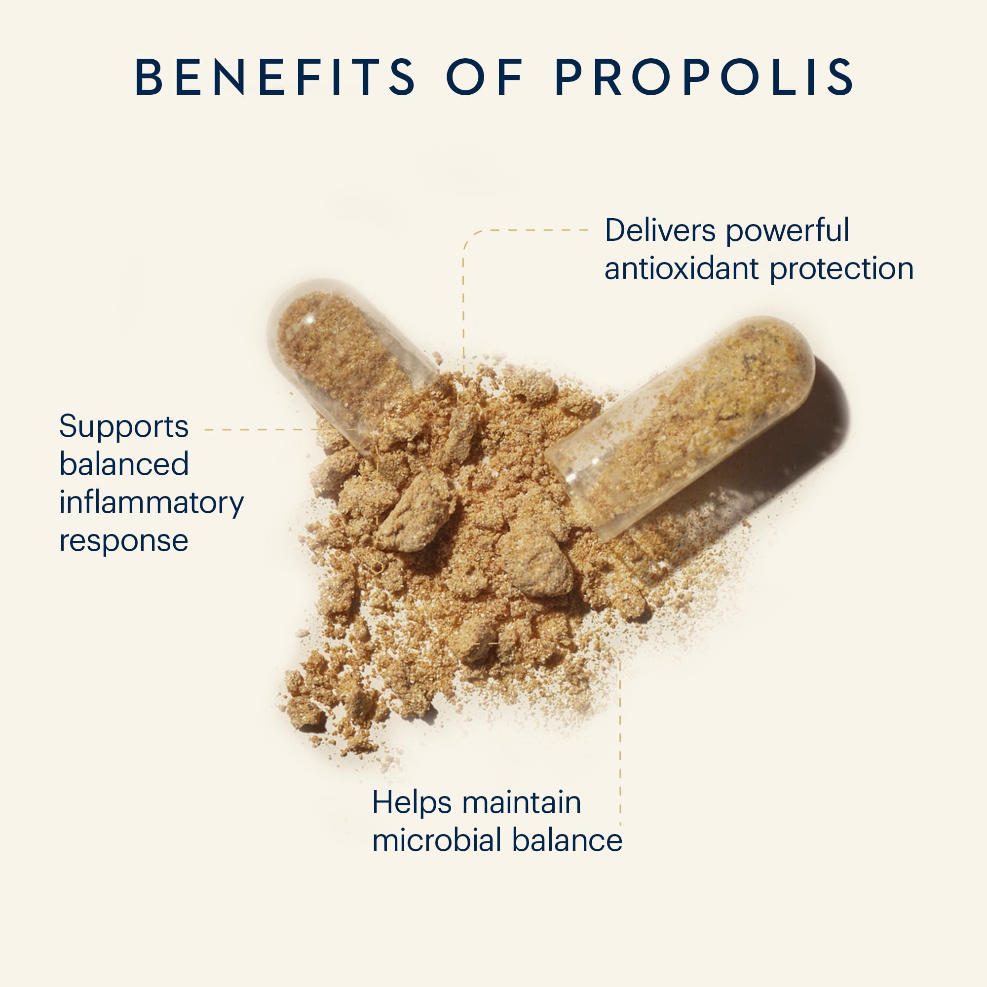 Ingredients close-up showing propolis flavonoids and natural antioxidants.