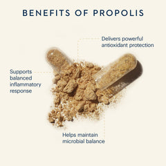 Ingredients close-up showing propolis flavonoids and natural antioxidants.