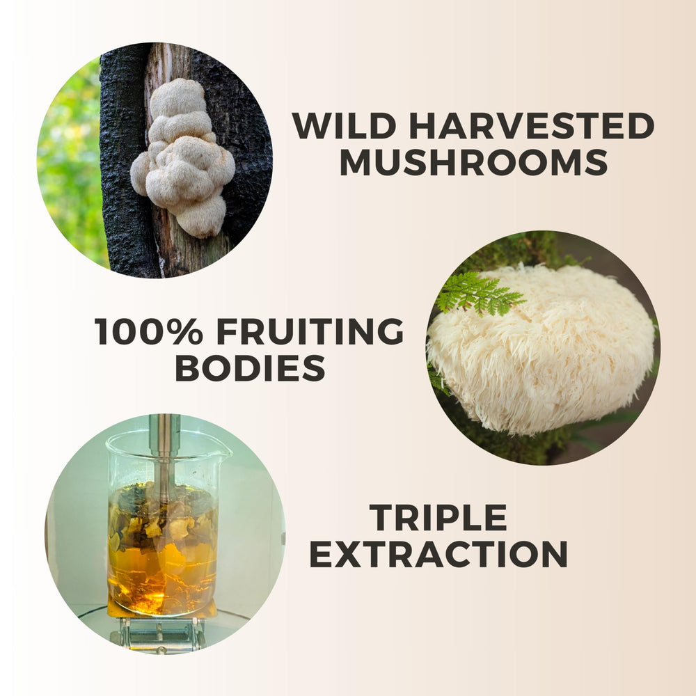 On-the-go setup with mug beside Manuka Mana tincture bottle.