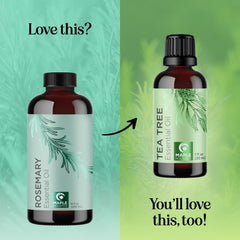 Diffuser-ready rosemary oil for calming ambience with Maple Holistics.